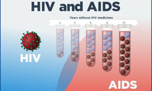 Introduction to Basics of HIV Infection